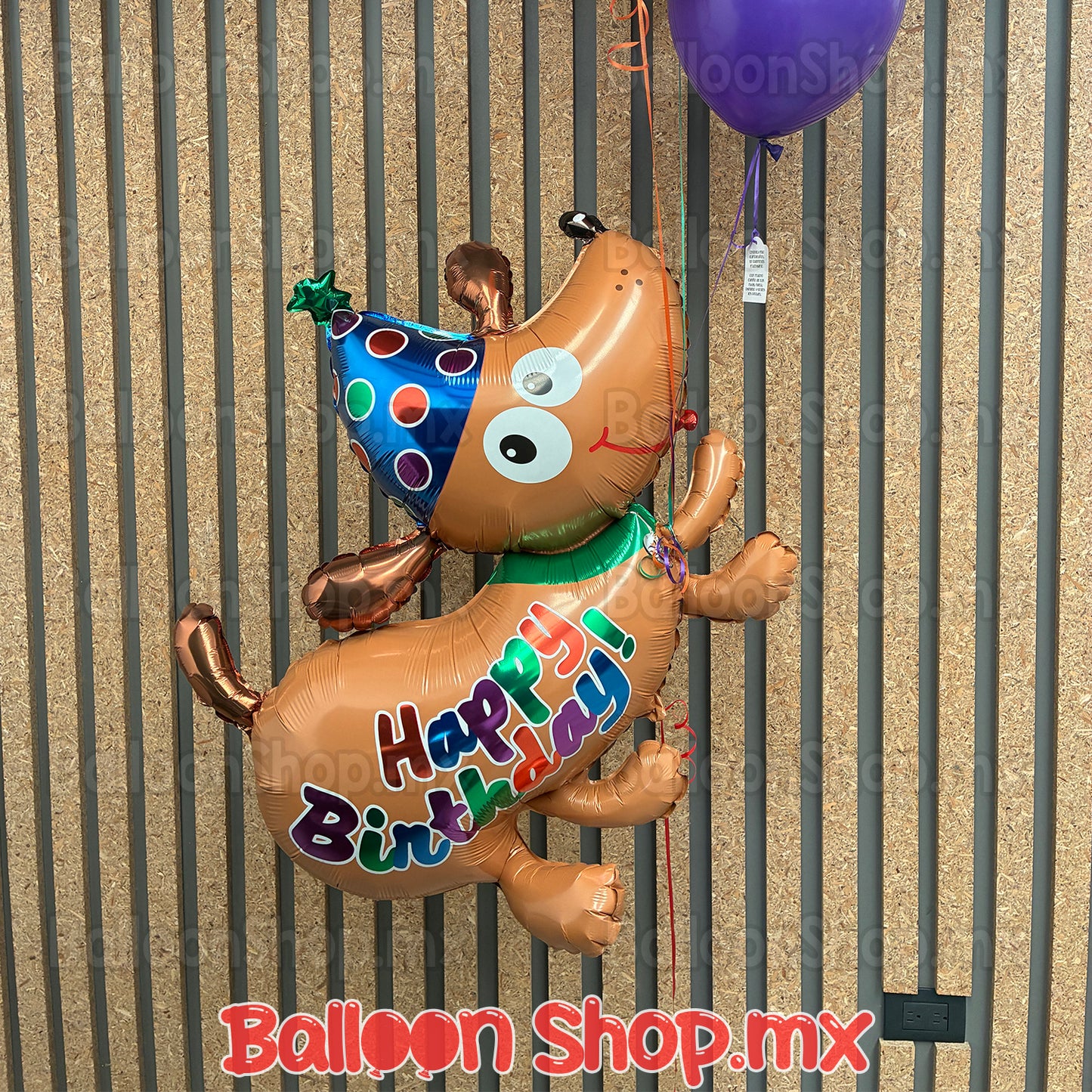 Birthday puppy
