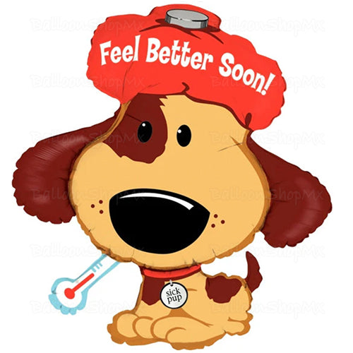 Get Well puppy