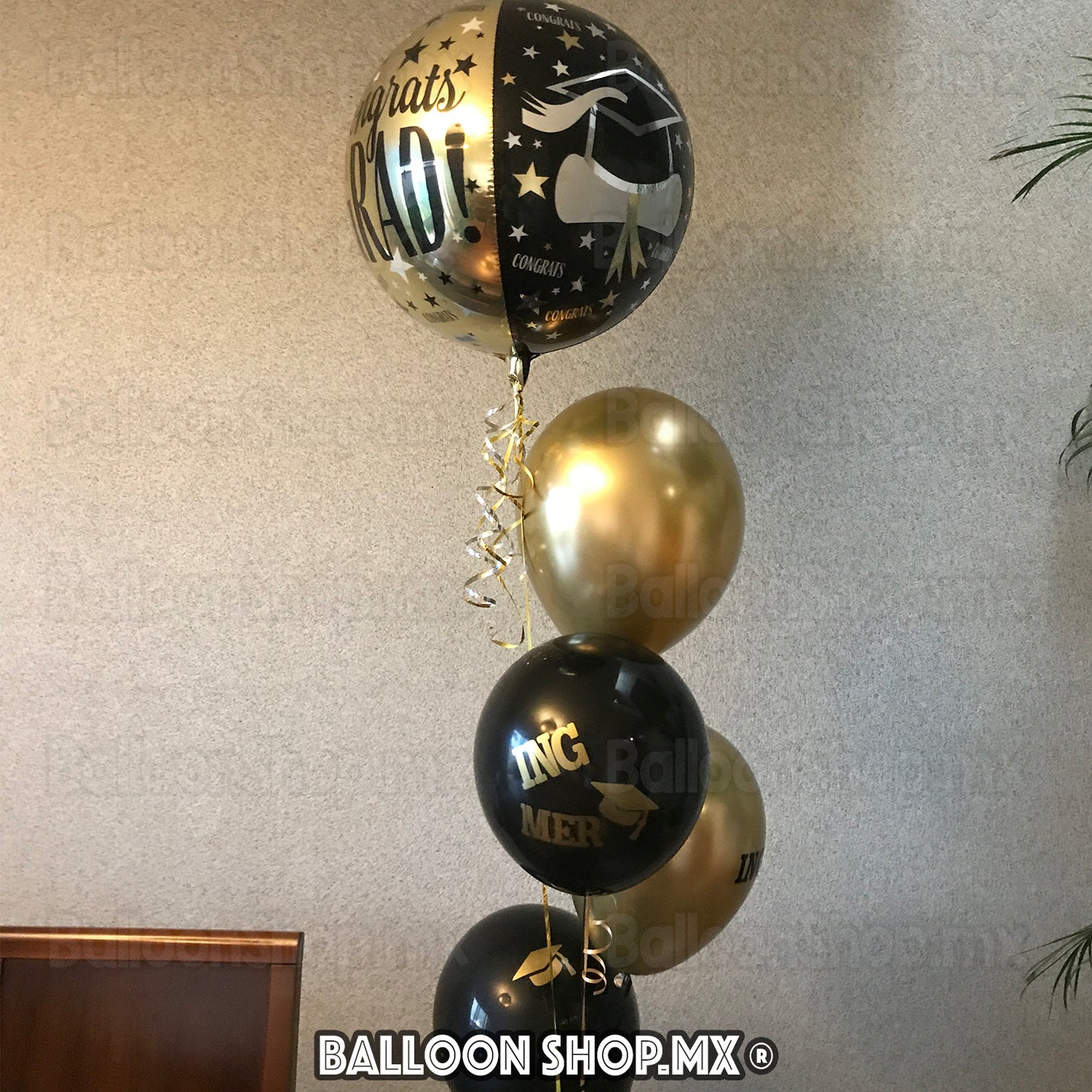 Burbuja elegante graduación