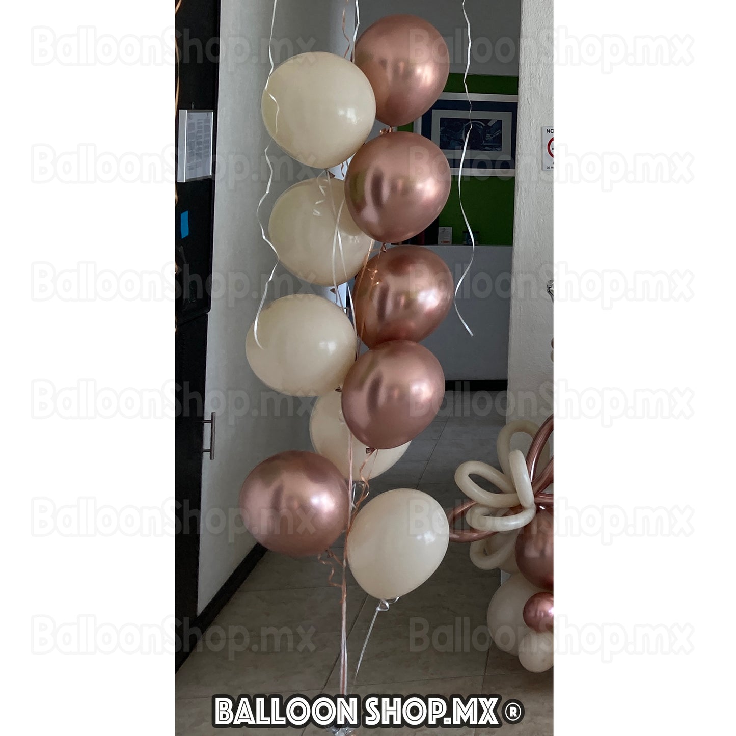 Bouquet de 10 globos