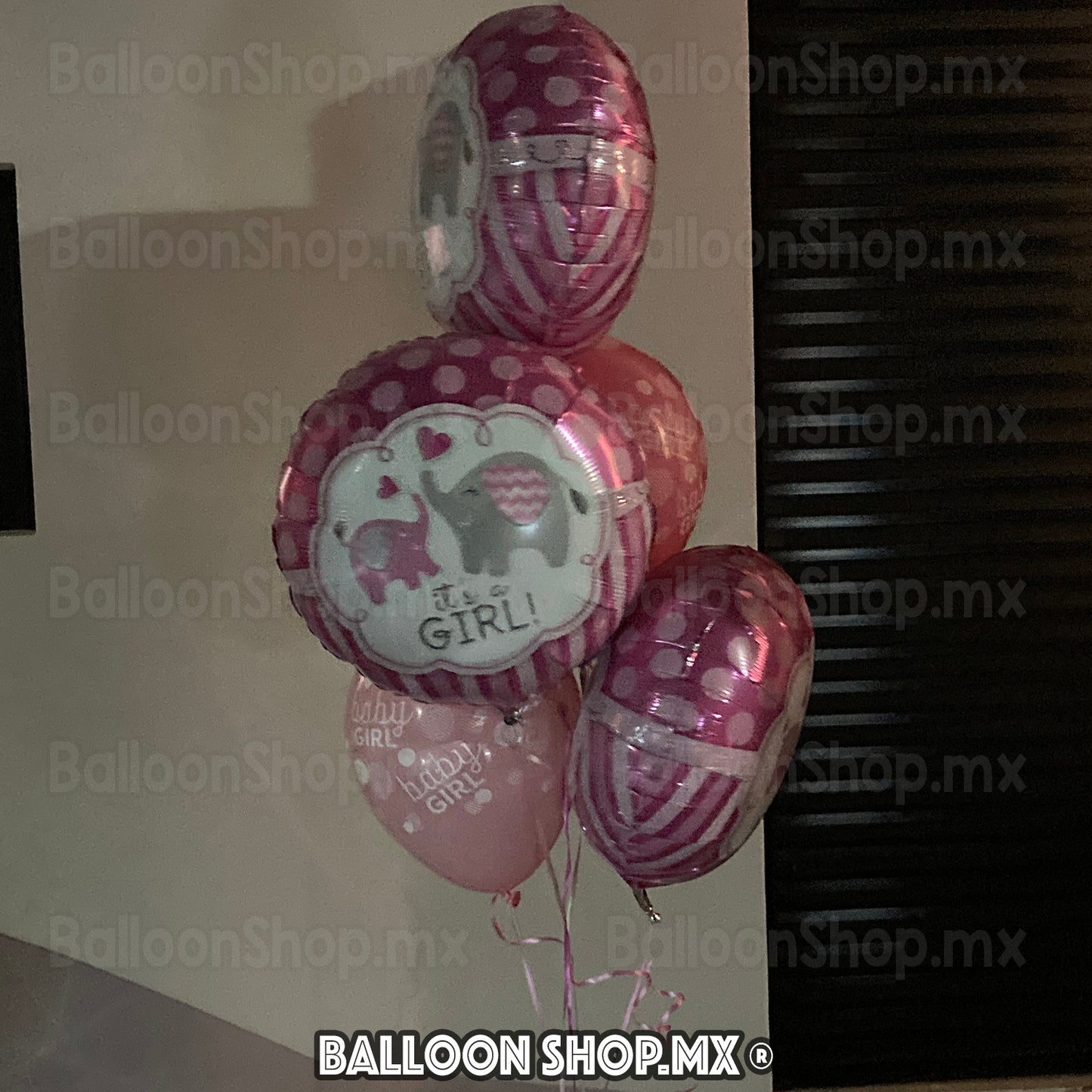 Es niña, elefantitos