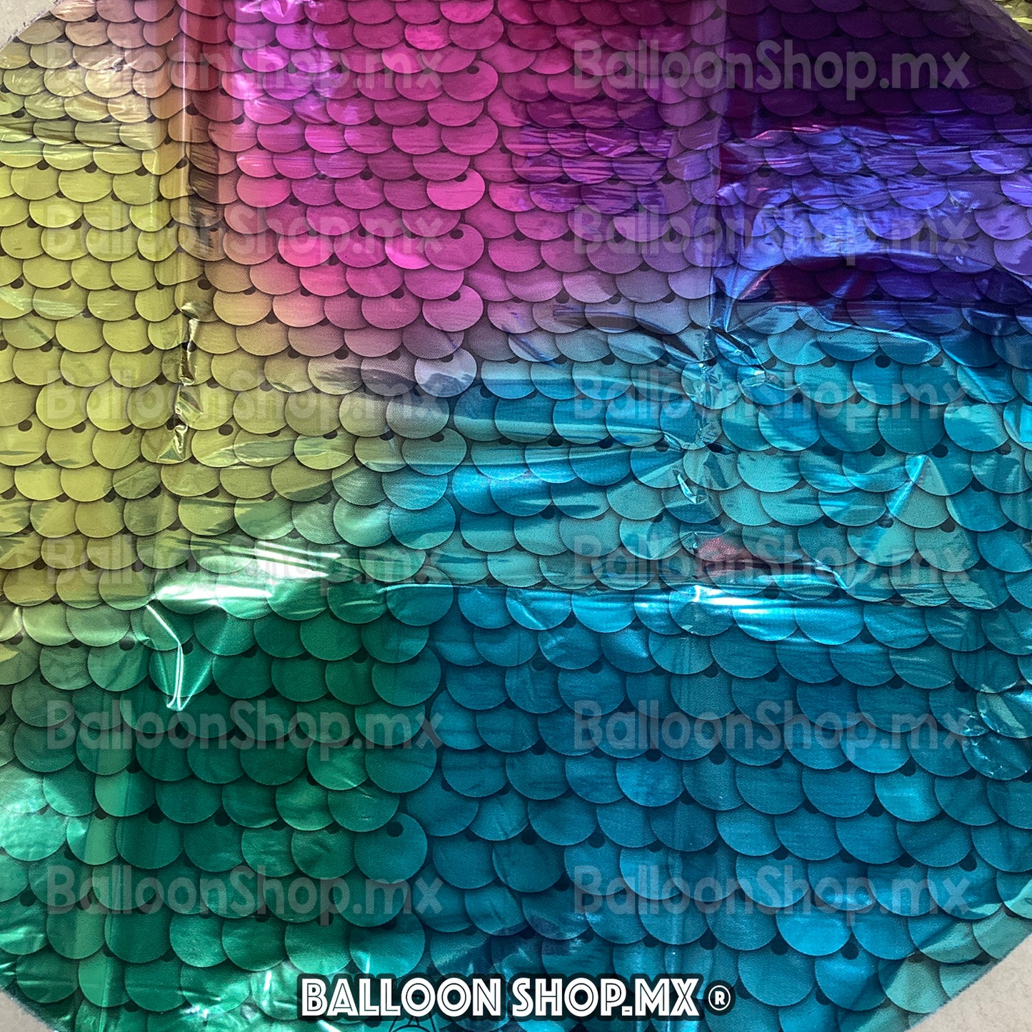 Redondo escamas arcoíris