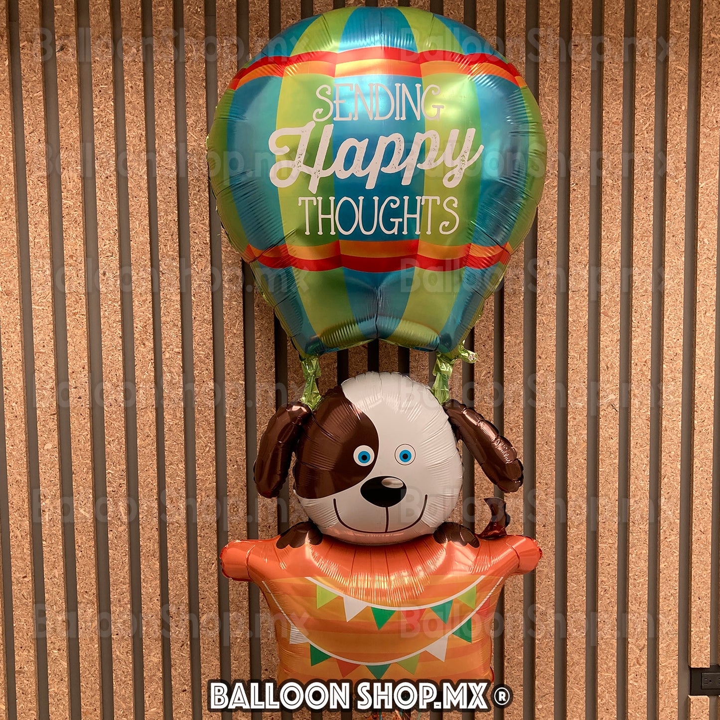 Aerostático gigante con perrito