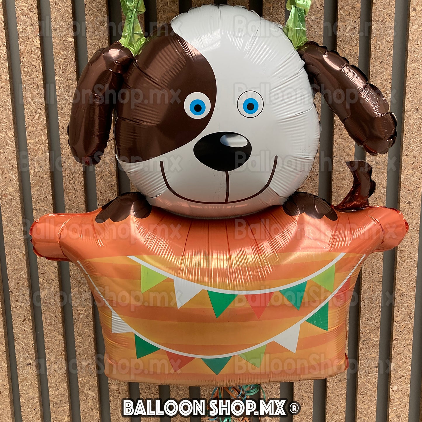 Aerostático gigante con perrito