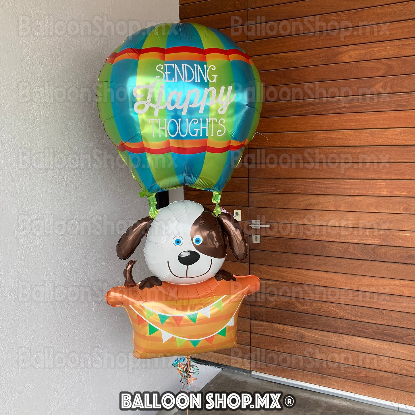 Aerostático gigante con perrito