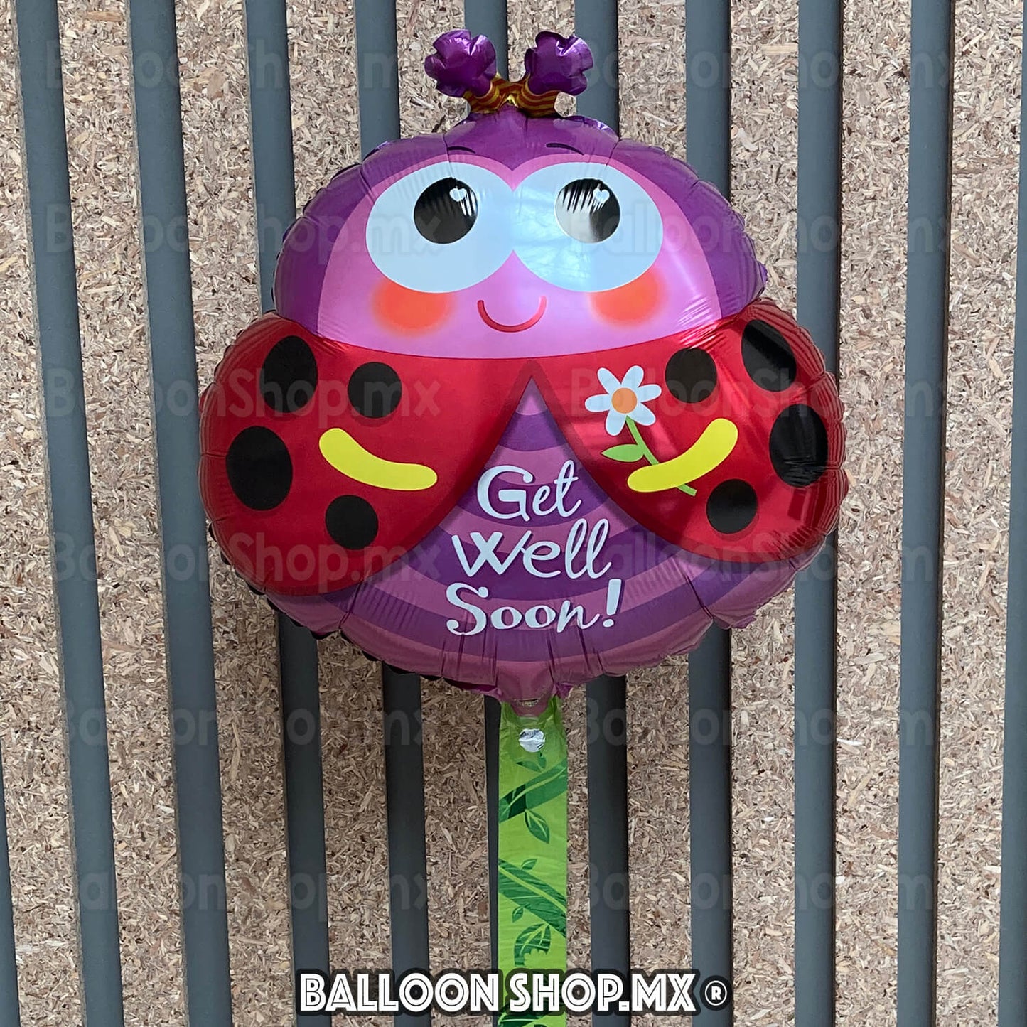 Catarina con base enrollable