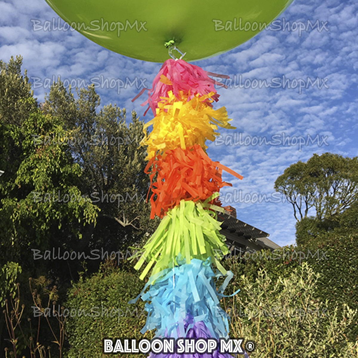 Barba de pompones multicolor