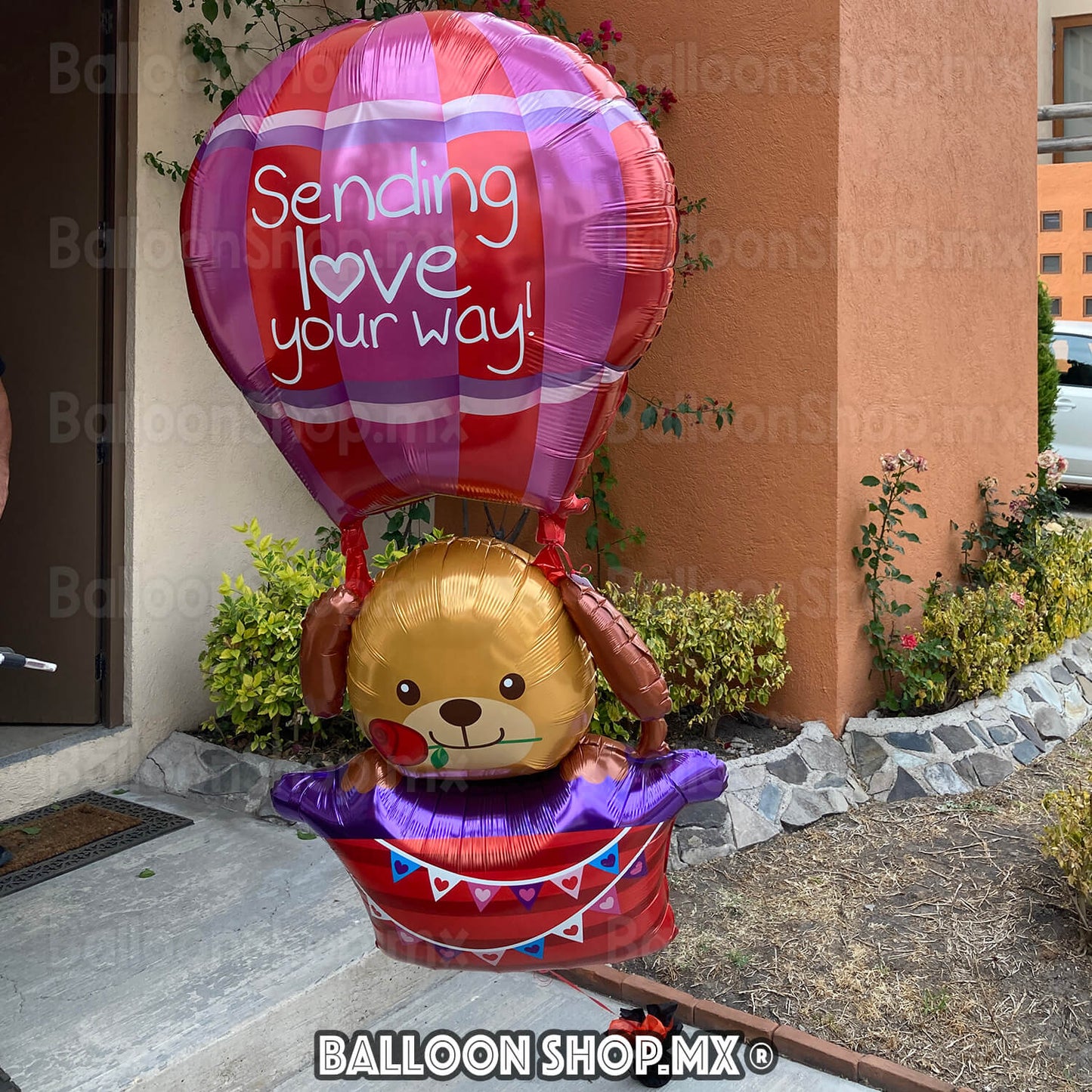 Aerostático gigante con perrito