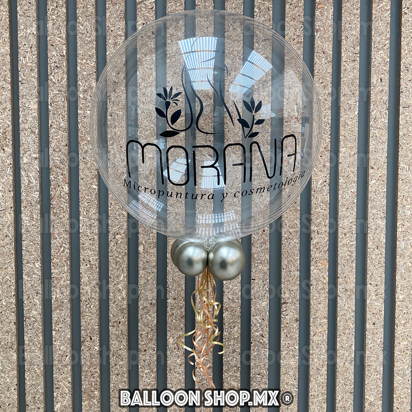 Burbuja transparente 55 cm