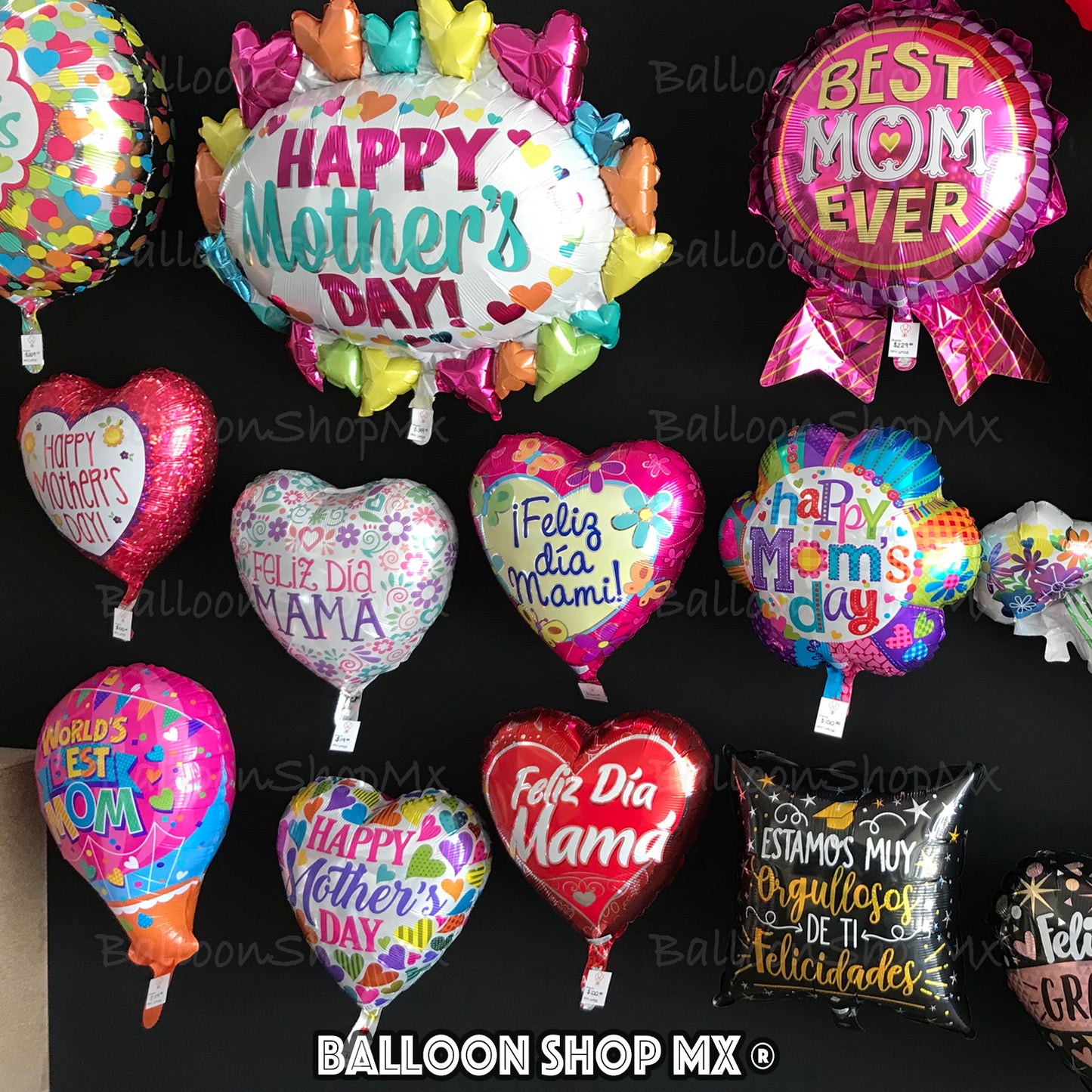 Aerostático World's best mom